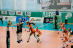 DSC03810.jpg